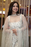 Kashmira Pardeshi Stills